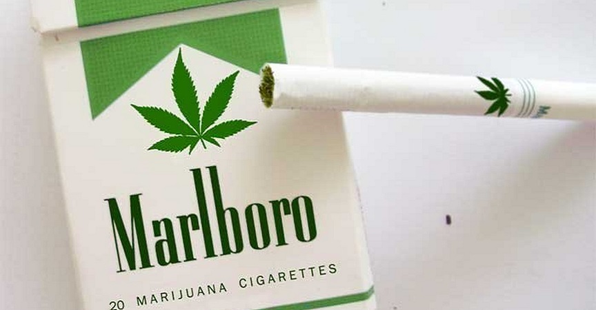 Phillip Morris anuncia la venta de sus primeros cigarros de marihuana