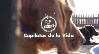 Fiat cambió sus carros por perros en esta emotiva campaña