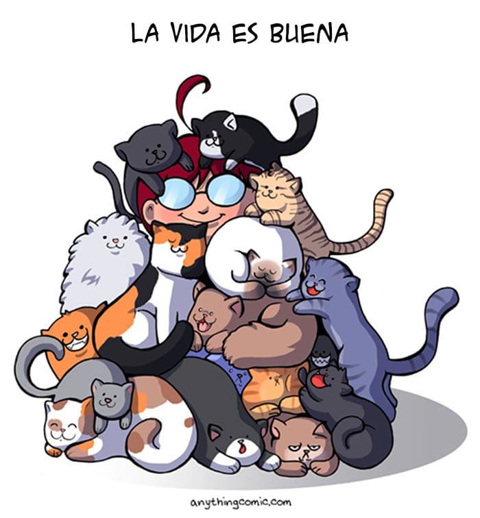 19-ilustraciones-detallan-como-es-vivir-con-gatos-3