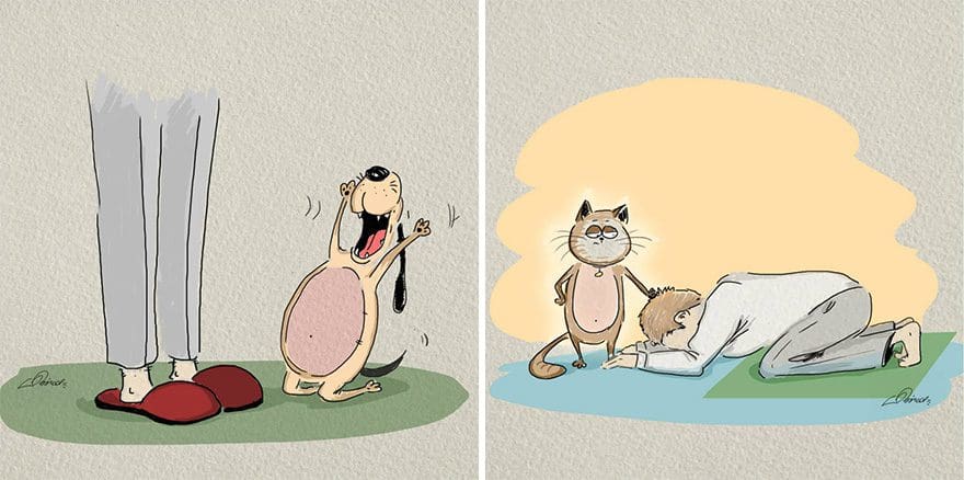 gatos-vs-perros-diferencias-3