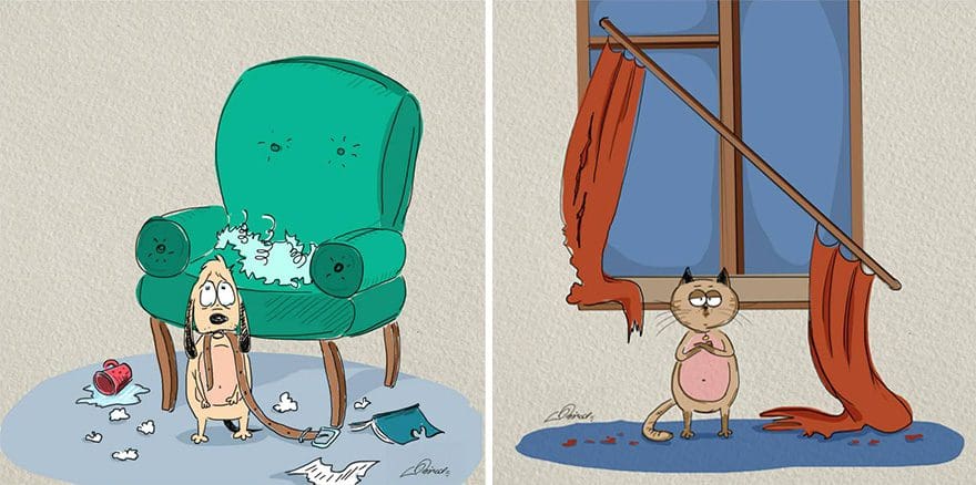 gatos-vs-perros-diferencias-5