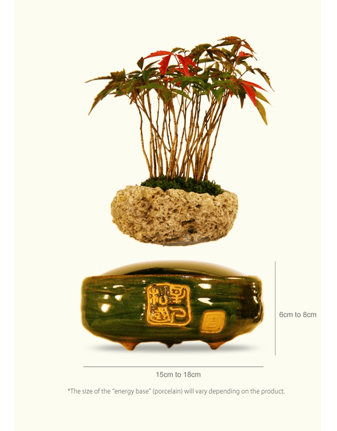 bonsai-magico-flotante-1