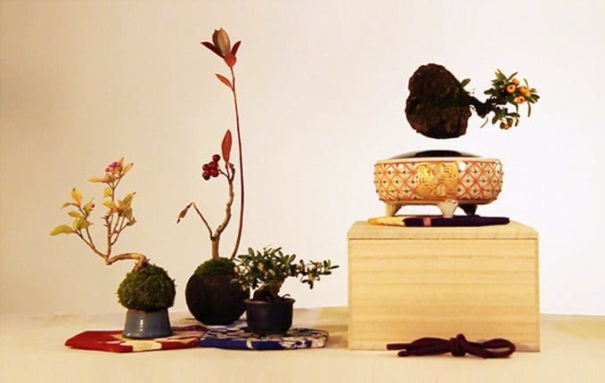 bonsai-magico-flotante-10
