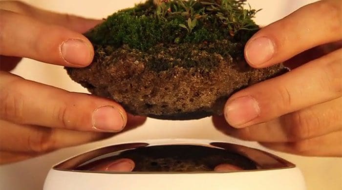bonsai-magicos-flotantes-1