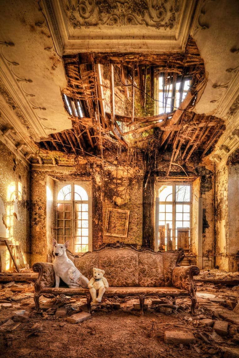 fotógrafo-recorre-Europa-fotografiando-a-su-Bull-Terrier