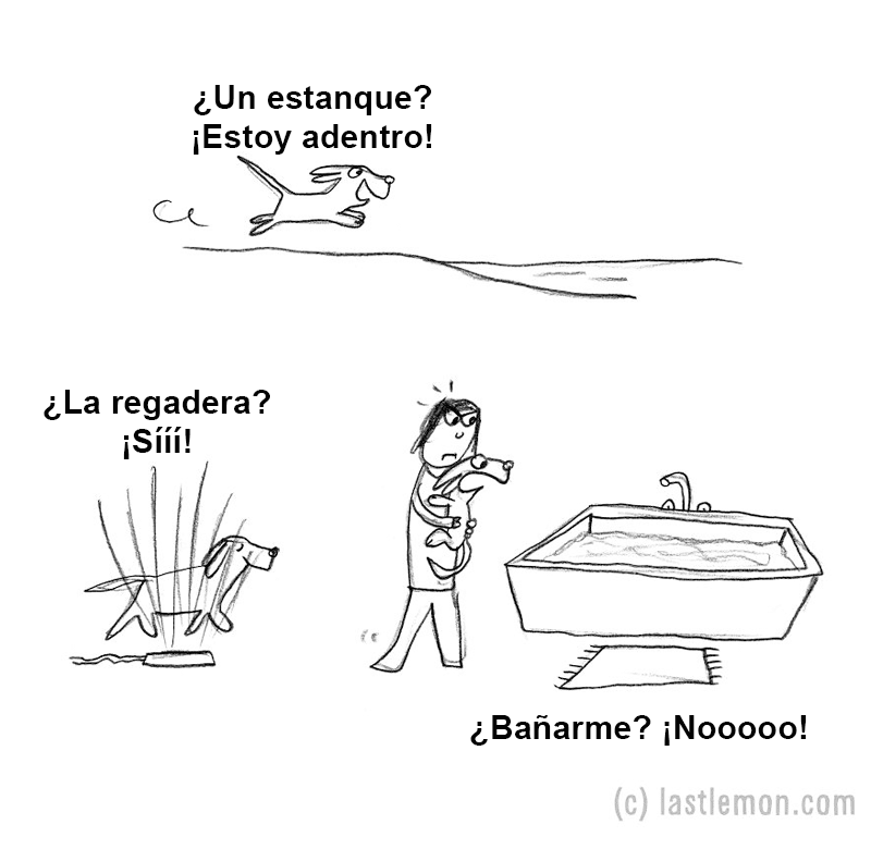 Guía práctica para aprender a ser un perro 08