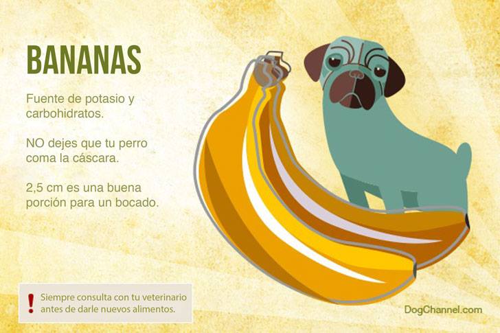 Qué frutas puedo darle de comer a mi perro bananas