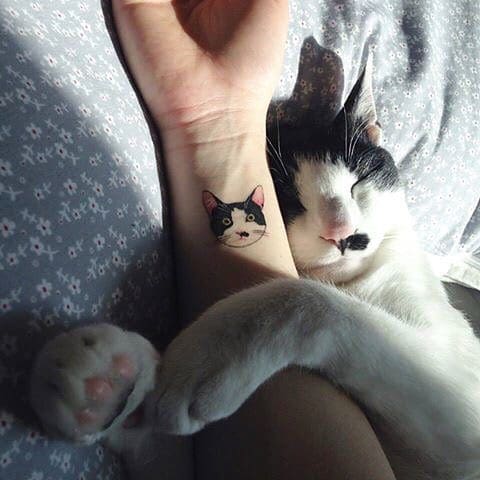 cat_by_sol_tattoo_mott