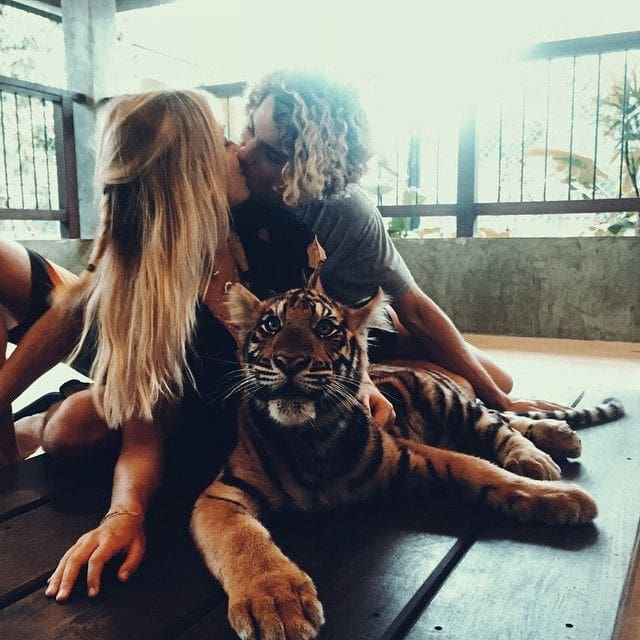 Conoce a esta popular pareja que demuestra su amor pasando las fronteras tigre