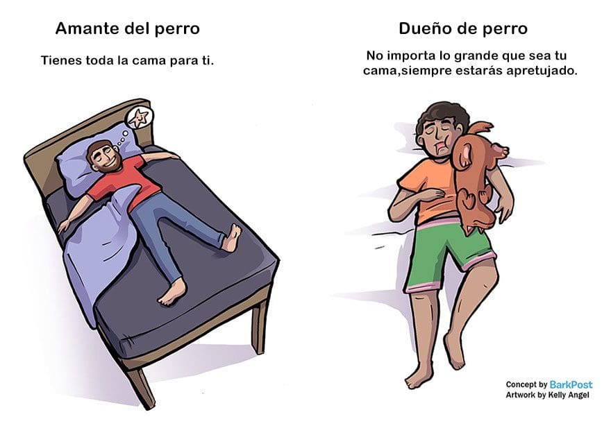 Divertidas diferencias entre ser amante de los perros y ser dueño de uno durmiendo