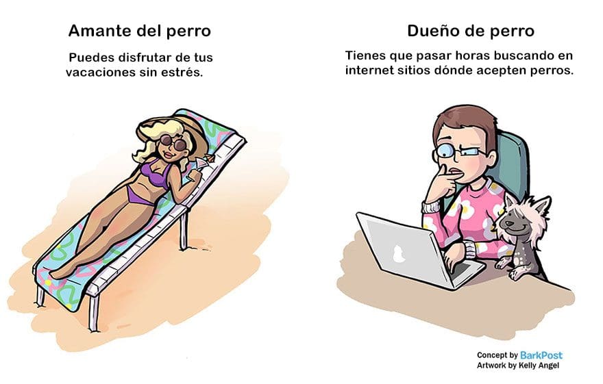 Divertidas diferencias entre ser amante de los perros y ser dueño de uno vacaciones