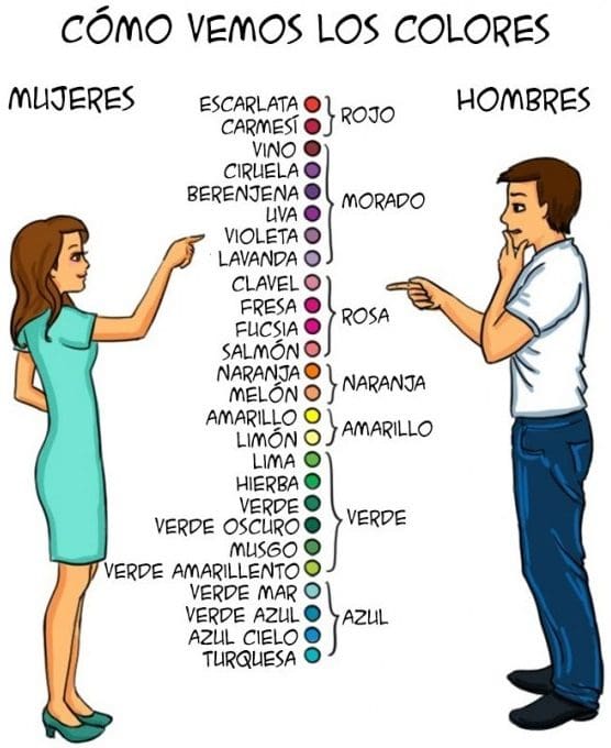 Ilustraciones que explican algunas diferencias entre hombres y mujeres c