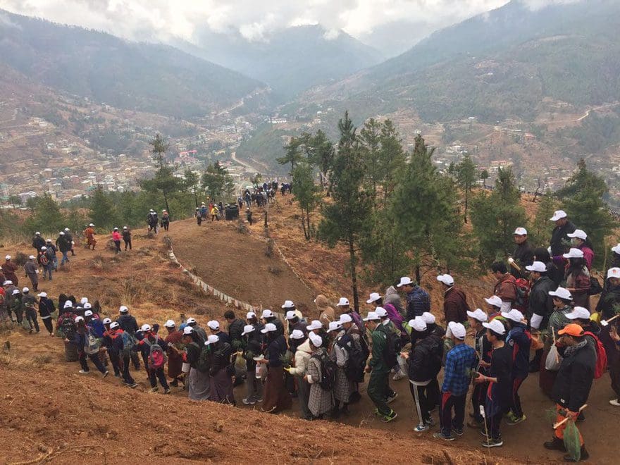 La llegada del nuevo príncipe de Bután es celebrada con 108,000 árboles plantados 06