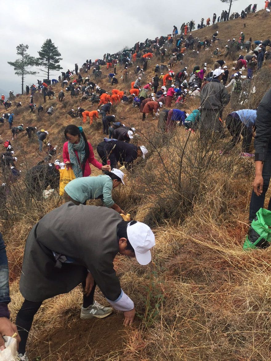 La llegada del nuevo príncipe de Bután es celebrada con 108,000 árboles plantados 07
