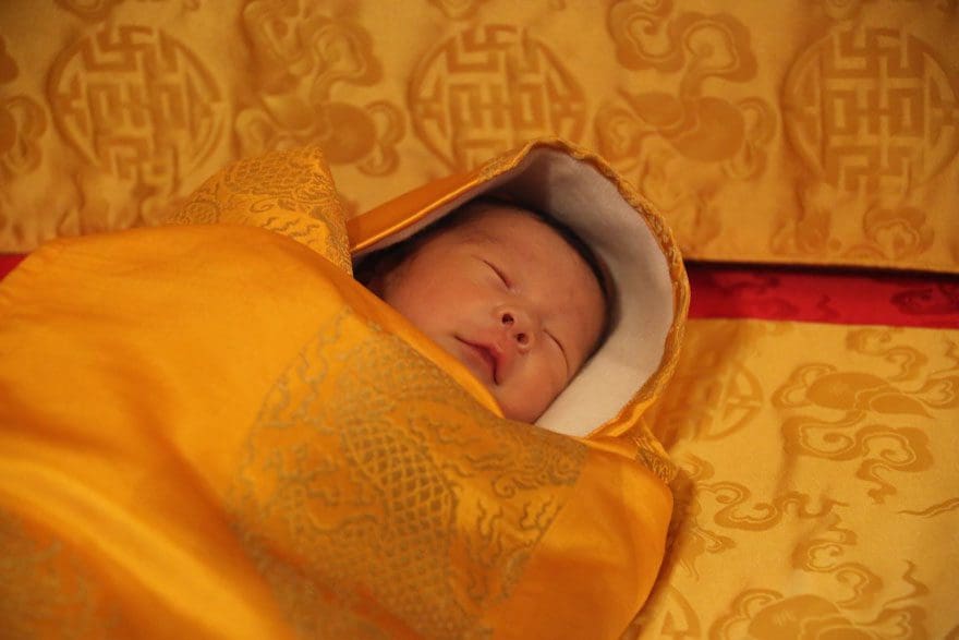 La llegada del nuevo príncipe de Bután es celebrada con 108,000 árboles plantados 08