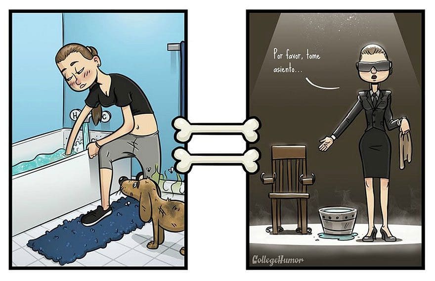 La perspectiva de un perro vs. la de un humano baño