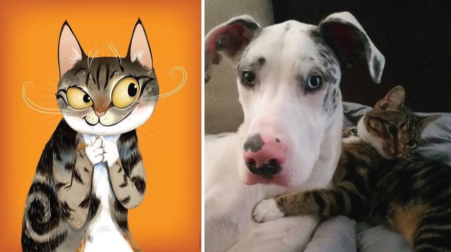 Artista crea divertidos retratos de mascotas según cómo sus dueños las describan 20