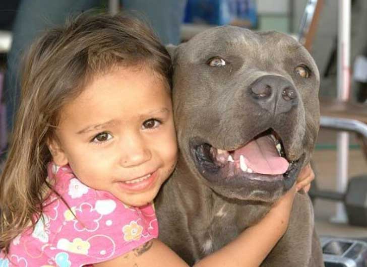 Este perro y esta niña se hicieron mejores amigos hasta que algo todo lo cambió 04