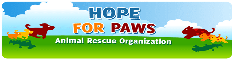 La excelente labor de Hope for Paws y su compromiso por ayudar a perros necesitados 01