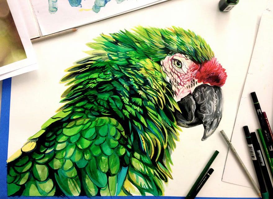 Las artísticas ilustraciones de animales hechas con plumones y colores 8