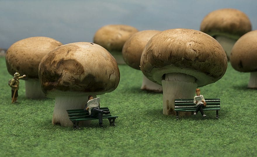 little people puppets sit on mushrooms in forest made from mushrooms