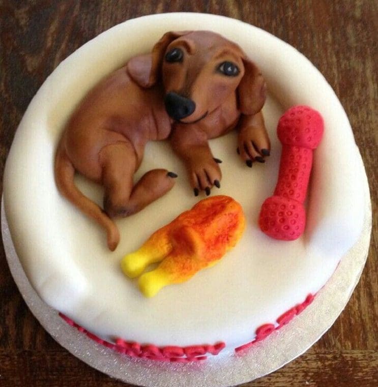 Las 20 tortas más creativas para engreír a tu perro 22