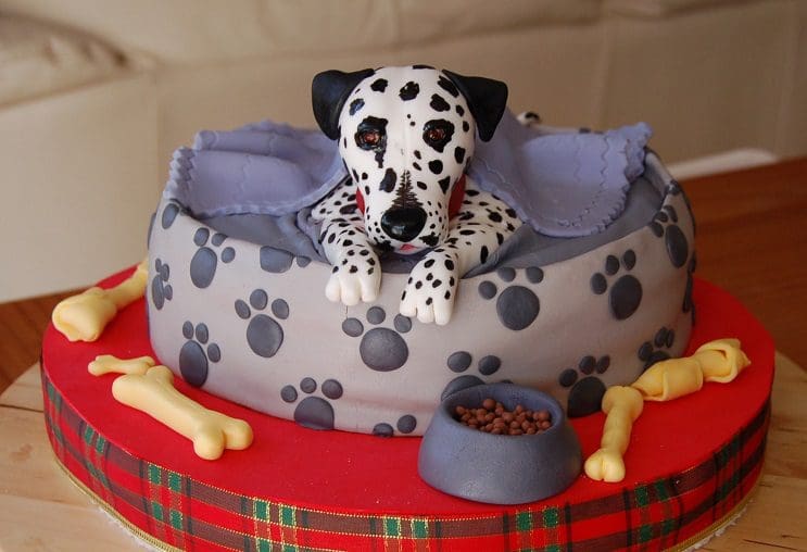 Las 20 tortas más creativas para engreír a tu perro 32