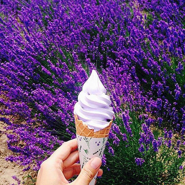 “Girl eat world”, la cuenta de Instagram que enamora con deliciosas fotografías2