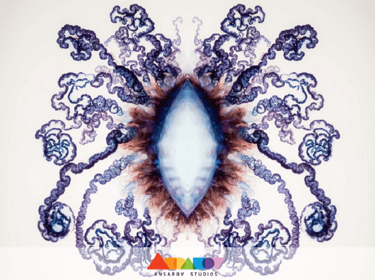 Deadly Beauty A Portrait of the Portuguese Man of War 5