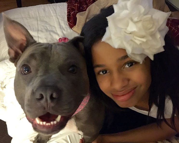 Esta niña con Asperger fue separa de su perro de ayuda hace 1 año. Ahora buscan nuevo hogar 07