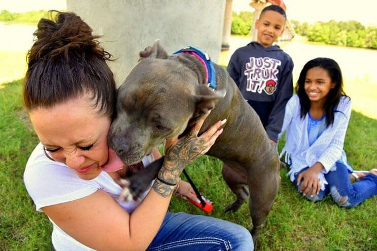 Esta niña con Asperger fue separa de su perro de ayuda hace 1 año. Ahora buscan nuevo hogar 08