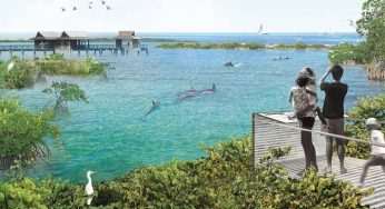Este acuario norteamericano anunció que liberarán a todos sus delfines en cautiverio