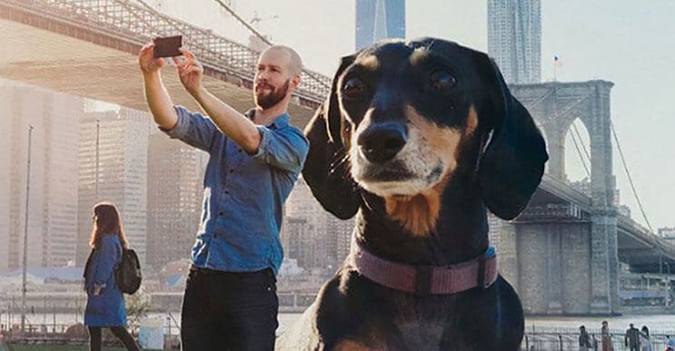 Este fotógrafo nos ayuda a ver lo grande que es su perro salchicha