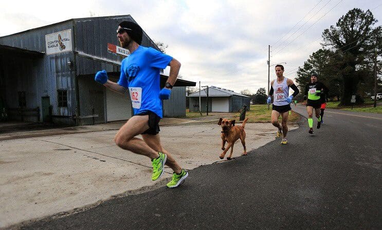 Este perro irrumpió en una maratón y se ganó una medalla por llegar en séptimo puesto 01