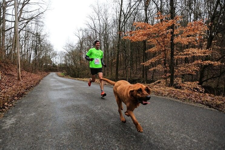 Este perro irrumpió en una maratón y se ganó una medalla por llegar en séptimo puesto 03