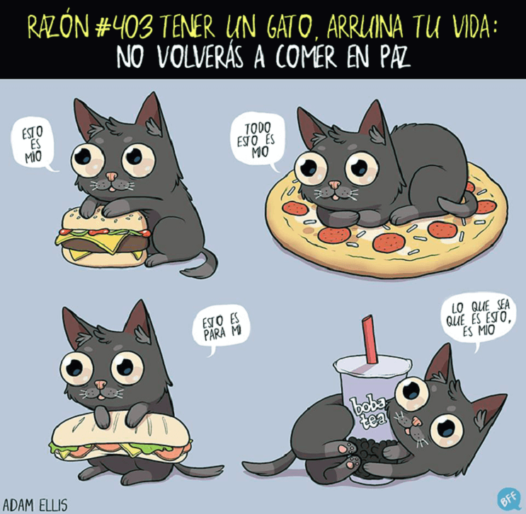 Ilustraciones llenas de sarcasmo y humor que nos muestran por qué tener un gato arruina nuestras vidas 403