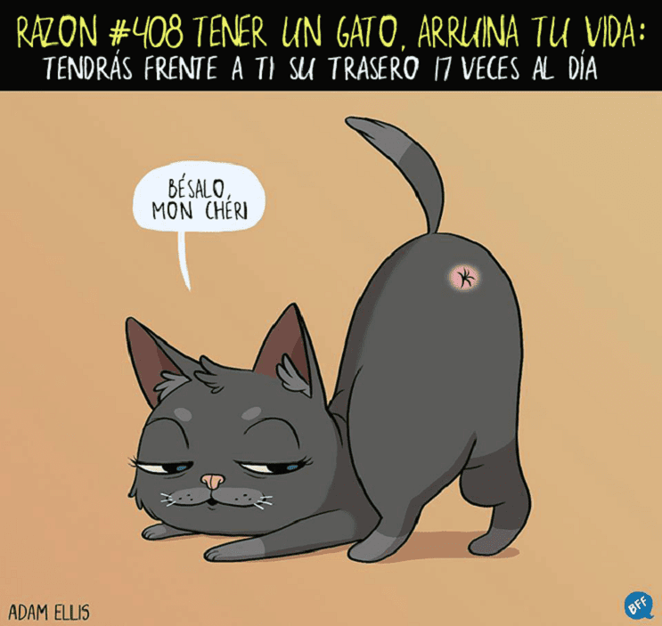 Ilustraciones llenas de sarcasmo y humor que nos muestran por qué tener un gato arruina nuestras vidas 408