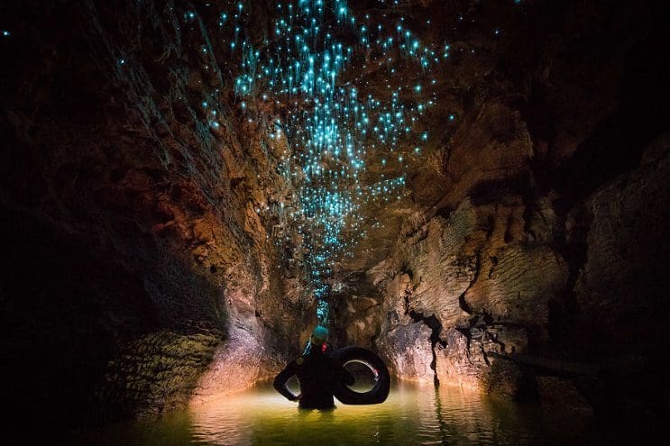 Los increíbles gusanos luminosos de las Cuevas de Waitomo, en Nueva Zelanda 12