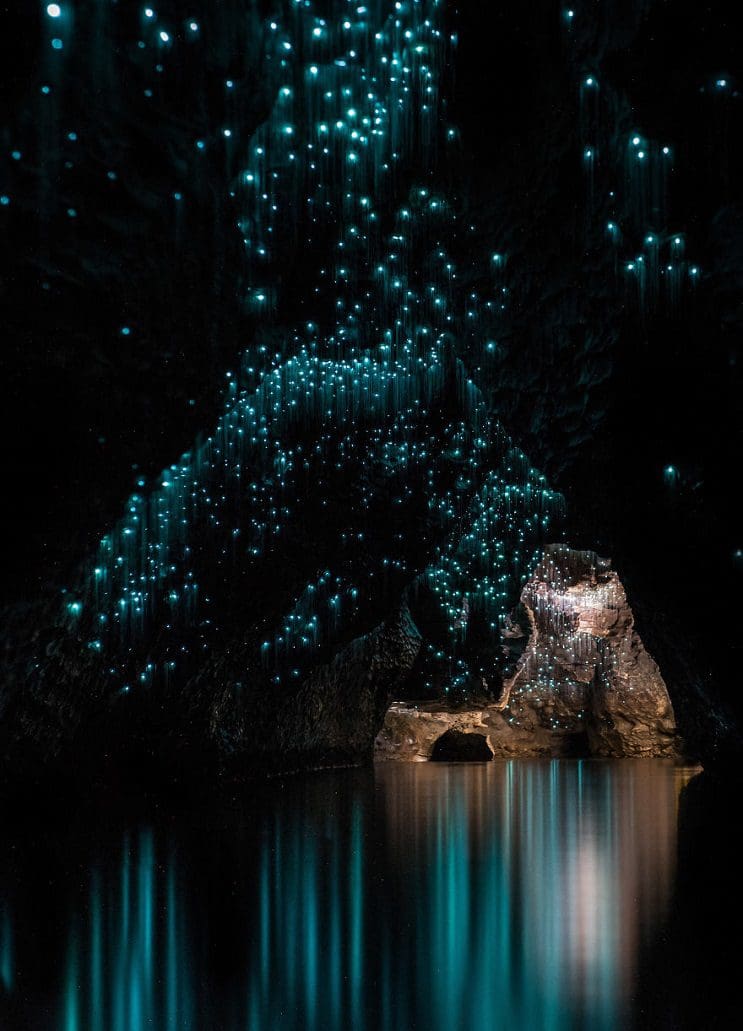 Los increíbles gusanos luminosos de las Cuevas de Waitomo, en Nueva Zelanda 6