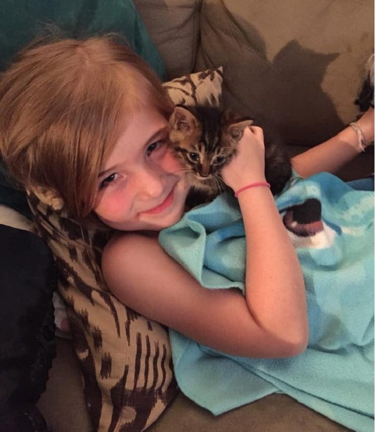 Una niña de 5 años y el gatito que ayudó a salvar se han vuelto inseparables 3