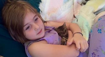 Una niña de 5 años y el gatito que ayudó a salvar se han vuelto inseparables