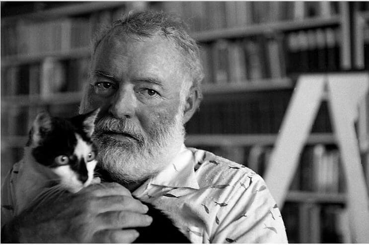 Conoce los magníficos gatos polidáctiles de Ernest Hemingway 1