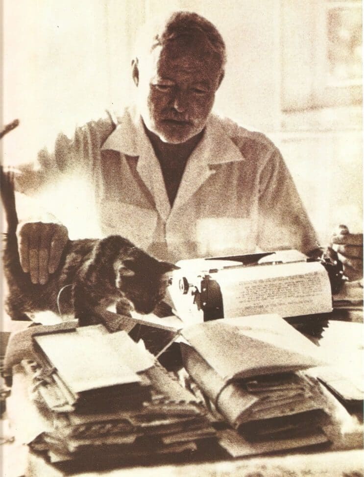 Conoce los magníficos gatos polidáctiles de Ernest Hemingway 8