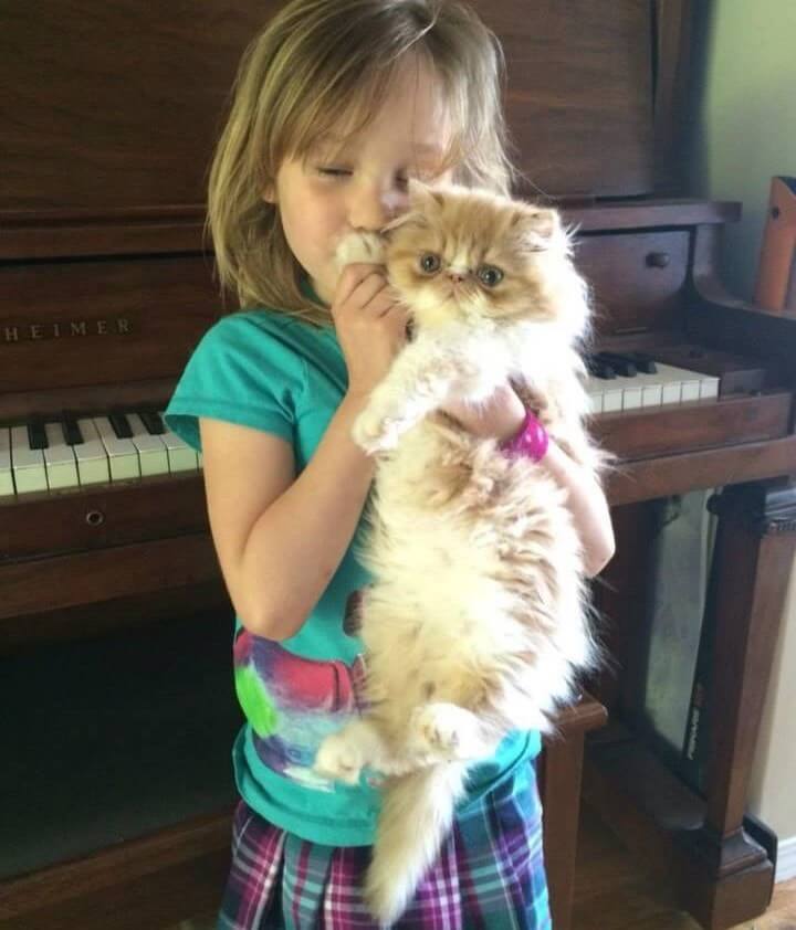 Esta niña encontró al amigo que anhelaba en este gato con necesidades especiales 01