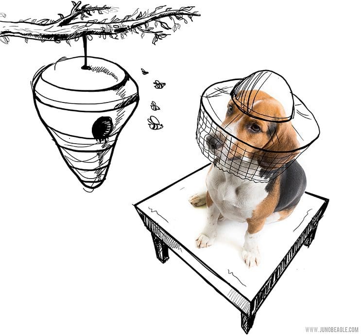 Este lindo Beagle vive las más grandes aventuras en esta serie de doodles animados abeja