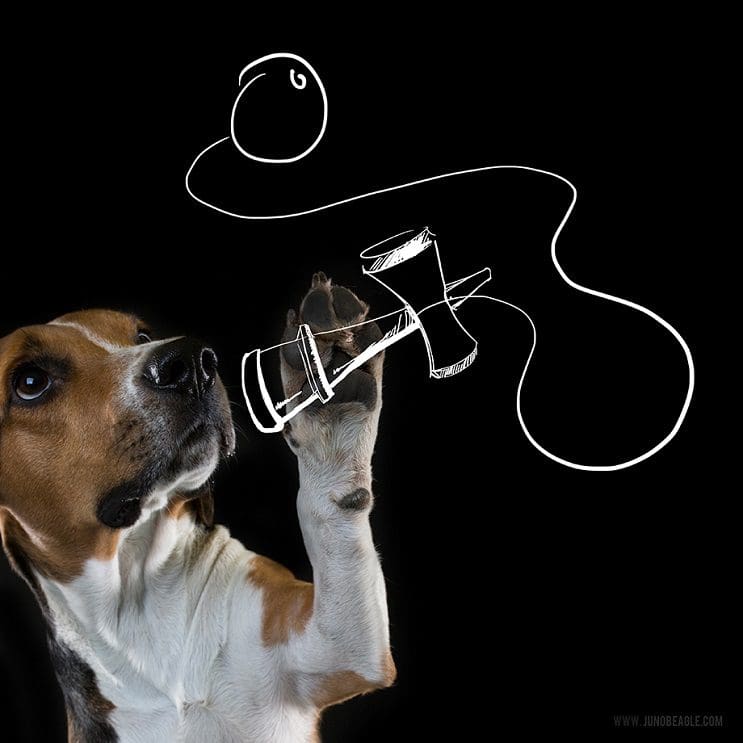 Este lindo Beagle vive las más grandes aventuras en esta serie de doodles animados bolero