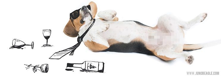 Este lindo Beagle vive las más grandes aventuras en esta serie de doodles animados borracho