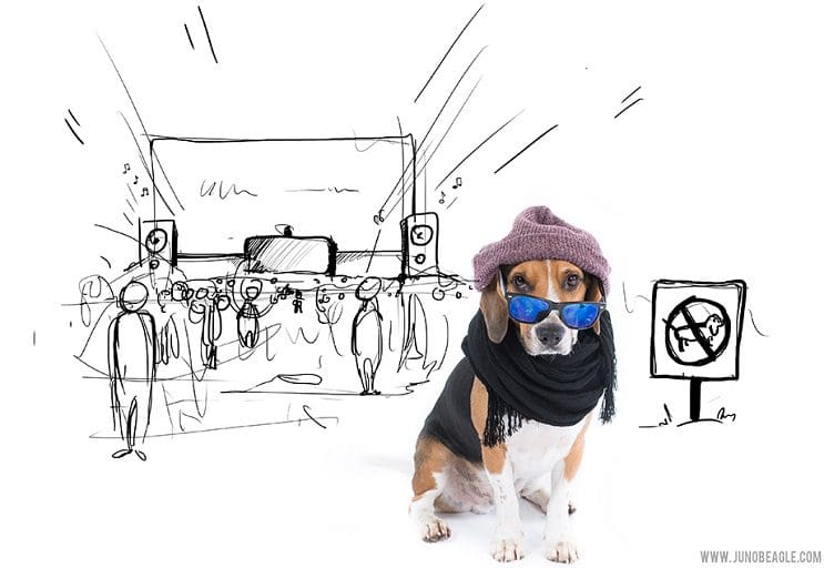 Este lindo Beagle vive las más grandes aventuras en esta serie de doodles animados concierto