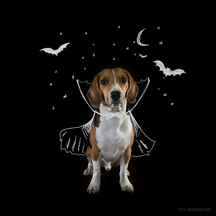 Este lindo Beagle vive las más grandes aventuras en esta serie de doodles animados halloween