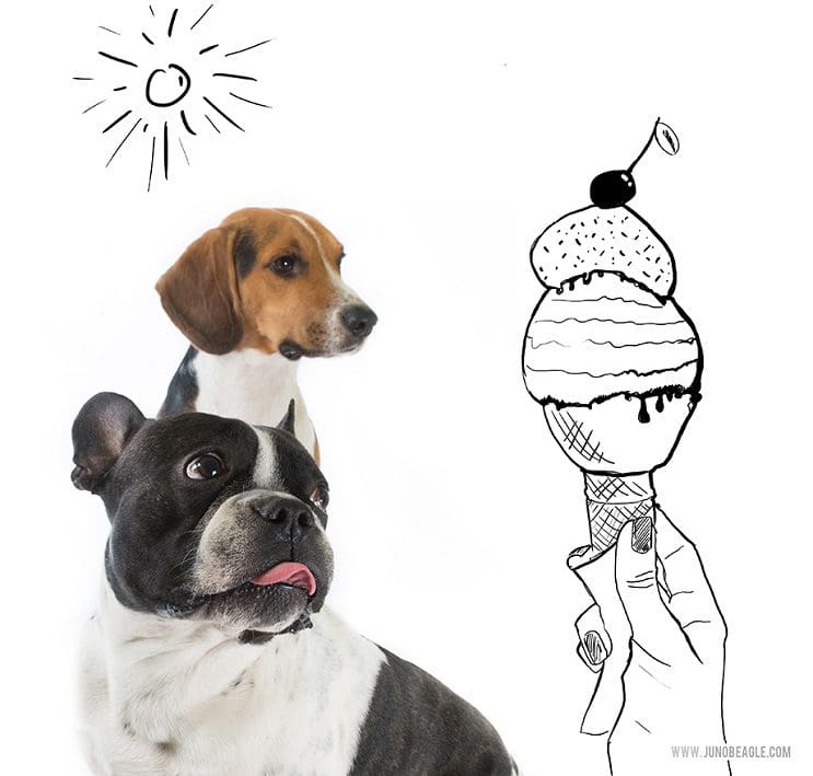 Este lindo Beagle vive las más grandes aventuras en esta serie de doodles animados helado